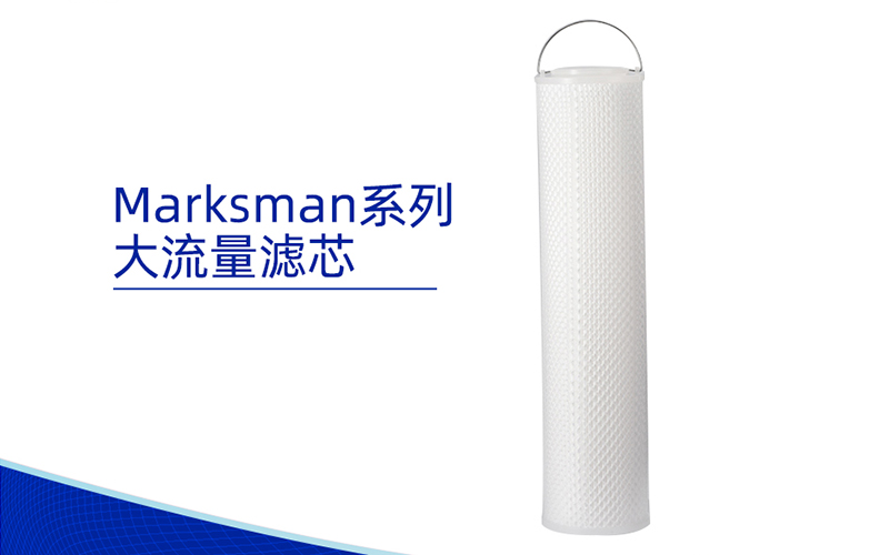 折叠滤芯_PALL/颇尔 XLDM系列Marksman大流量水滤芯
